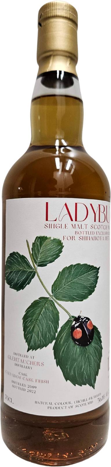 Glentauchers 2009 Shi  Ladybug