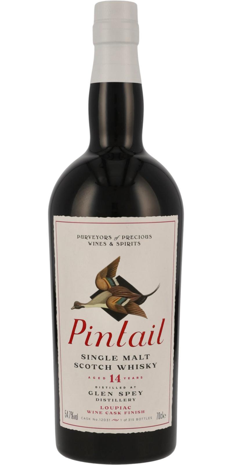 Glen Spey 2009 TWCe  Pintail