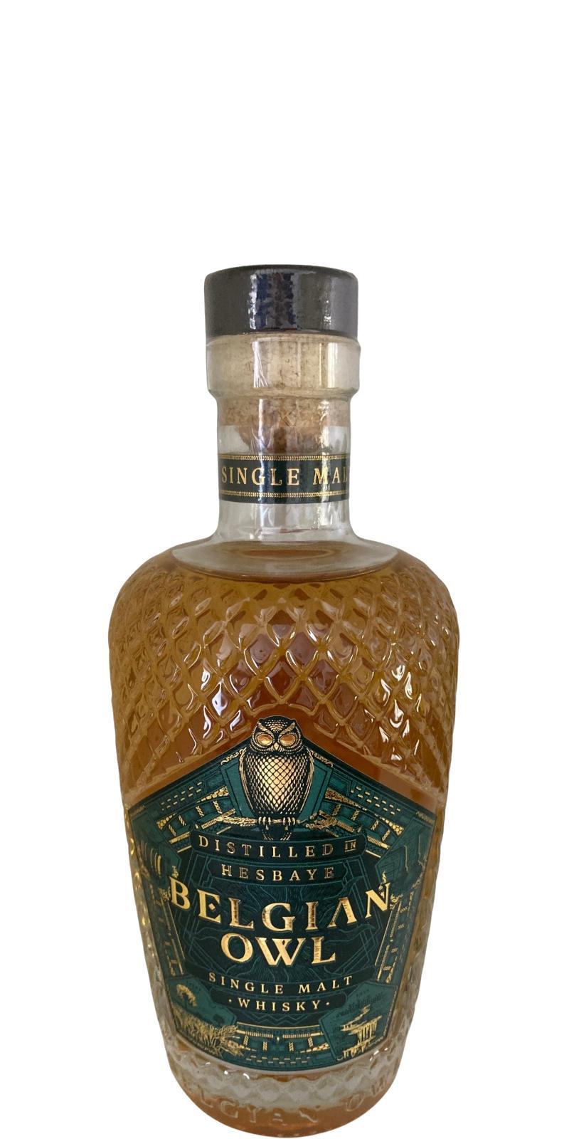 The Belgian Owl 03-year-old