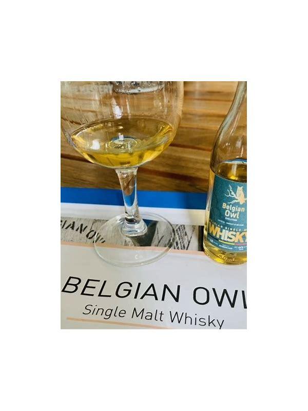 The Belgian Owl 04-year-old  Evolution