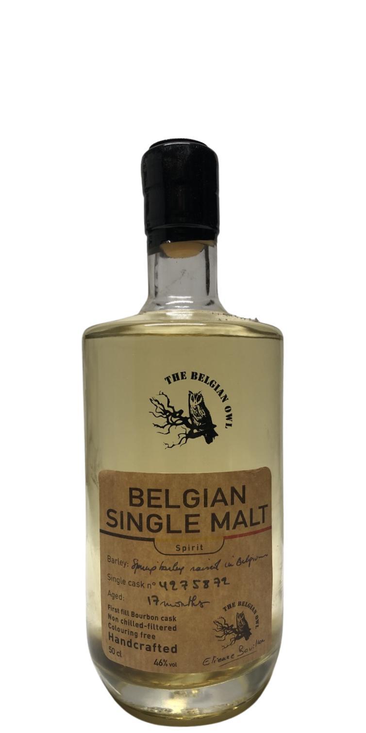 The Belgian Owl 17 months