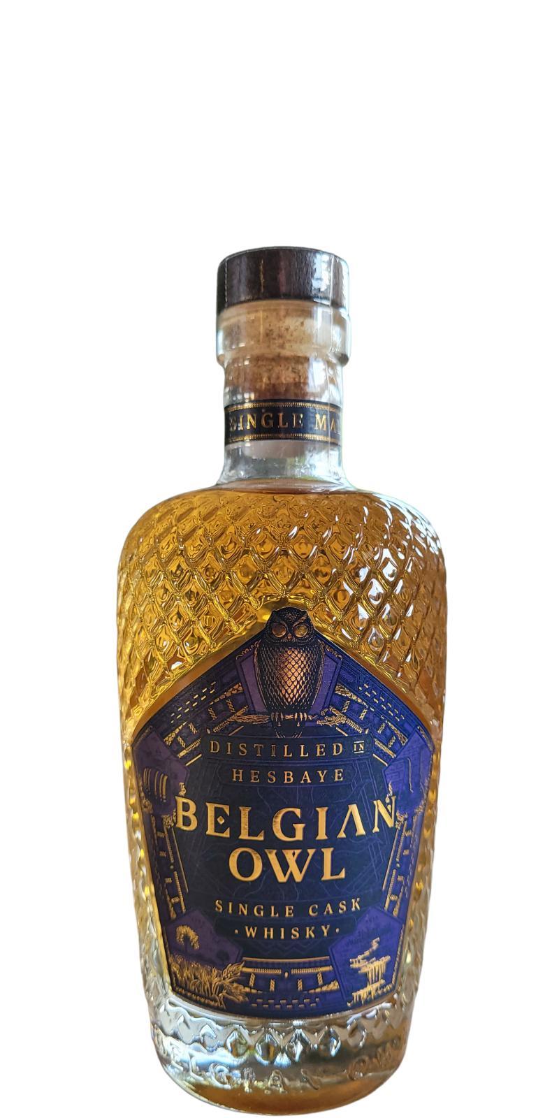 The Belgian Owl 42 - 47 months  Passion