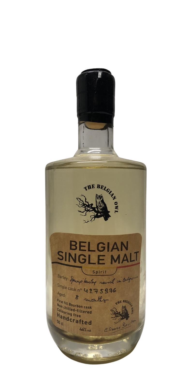 The Belgian Owl 8 months