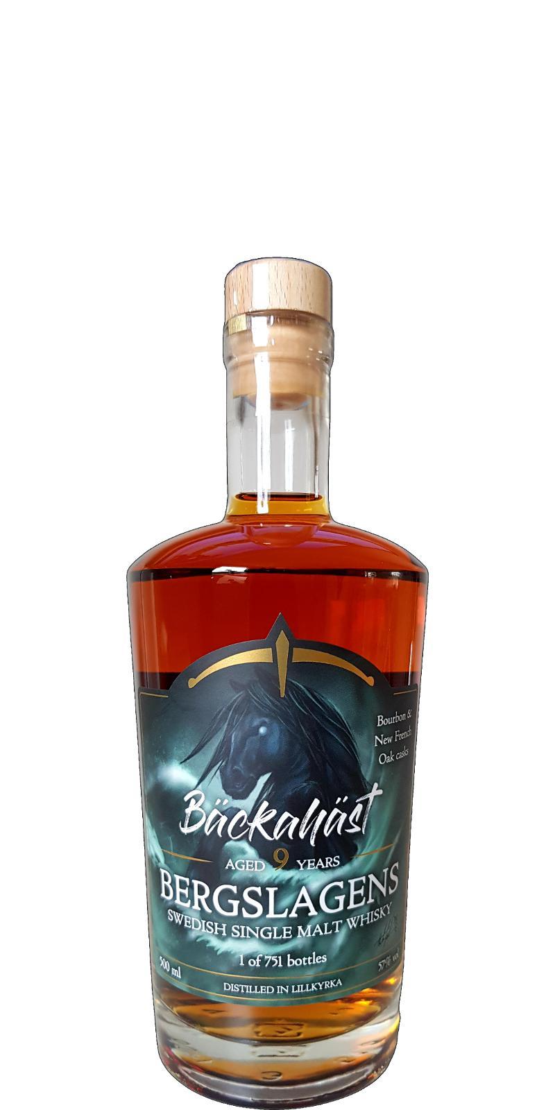 Bergslagens 09-year-old Ber  Bäckahäst - Väsen II