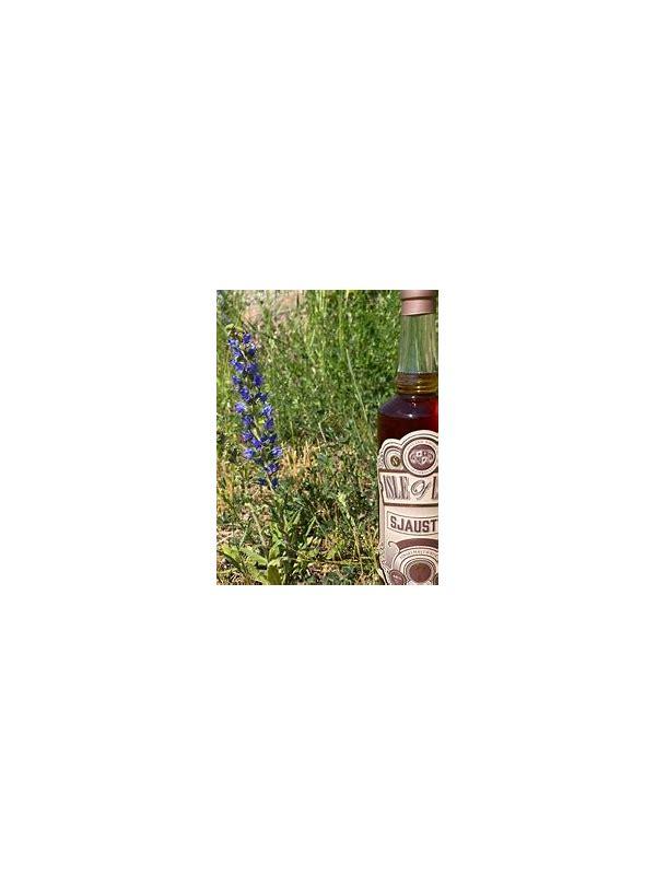 Isle of Lime 07-year-old  Sjaustru