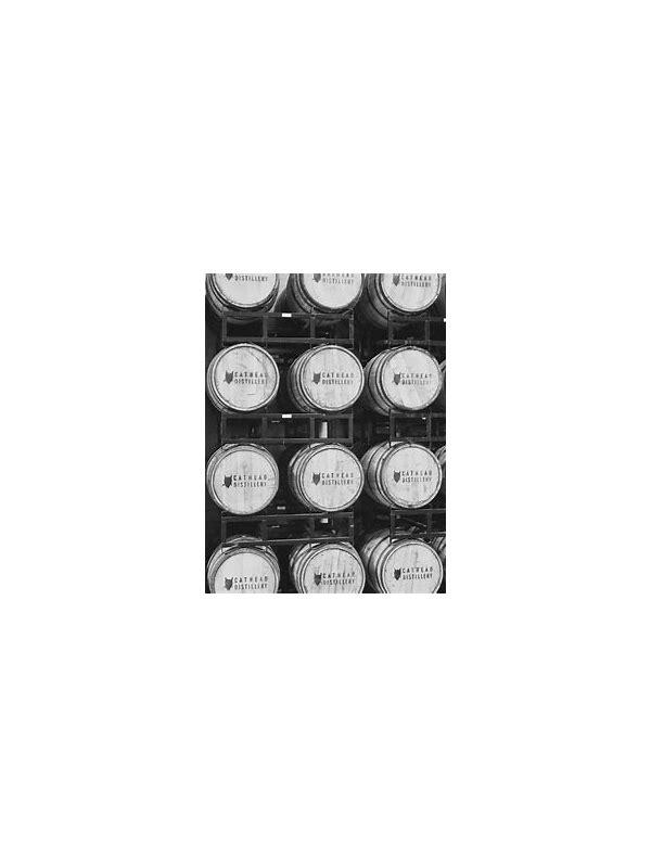 Old Soul 07-year-old  Tintype Series 1