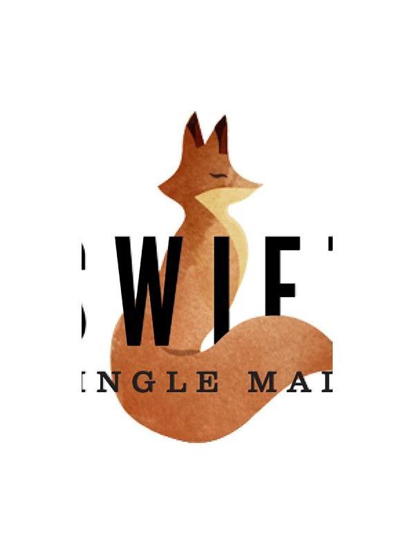 Swift 2016  The Finest Finish