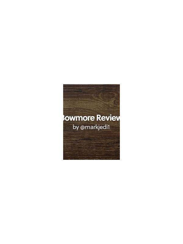 Bowmore 1993 TWA The Perfect Dram