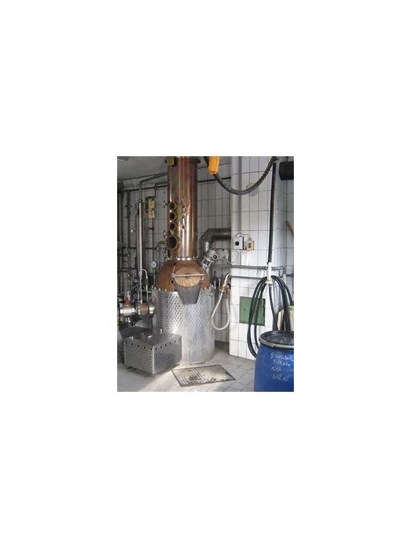 Luzerner Hinterländer 03-year-old